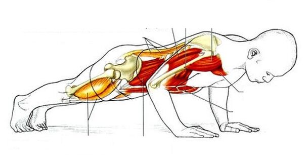 Flexións para adelgazar