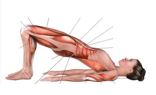 Lifting pélvico para adelgazar